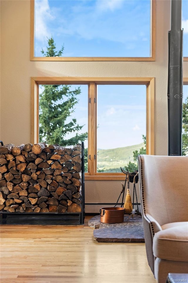 30717 Conifer Mountain Dr, Conifer, CO 80433 - living area featuring wood finished floors and a baseboard heating unit