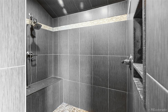 30717 Conifer Mountain Dr, Conifer, CO 80433 - full bath featuring a tile shower