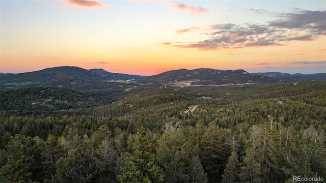 30717 Conifer Mountain Dr, Conifer, CO 80433 - mountain view with a heavily wooded area