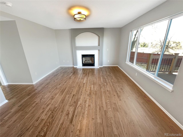 unfurnished living room with wood-type flooring