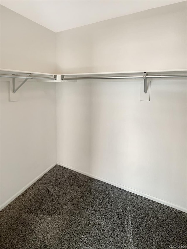 spacious closet featuring carpet