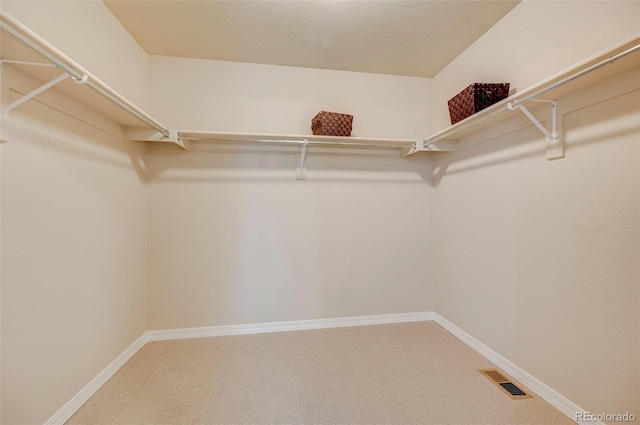 walk in closet with carpet