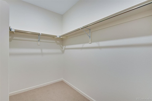 24563 E 34th Ave, Aurora, CO 80019 - spacious closet featuring carpet floors