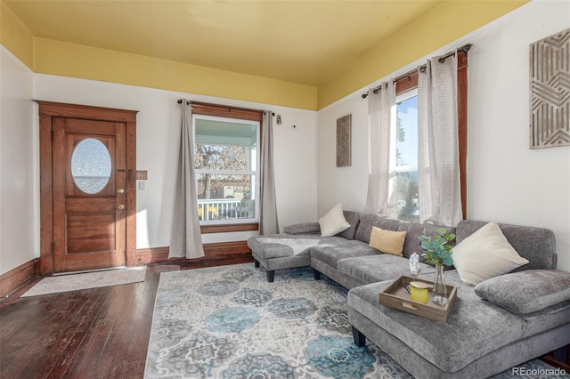 living room featuring hardwood / wood-style floors