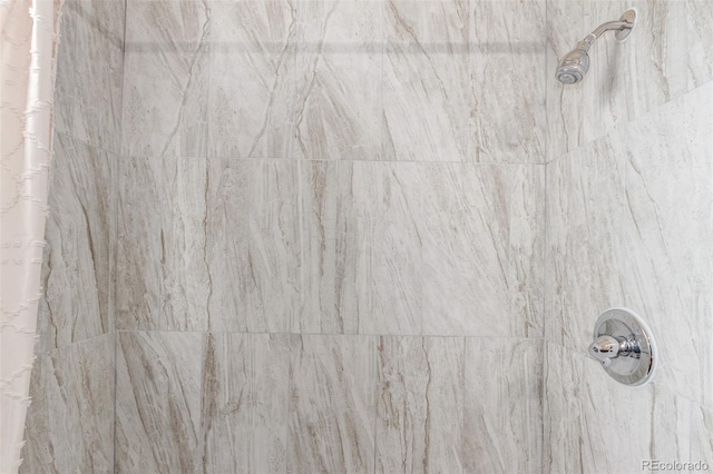 219 Terry St, Longmont, CO 80501 - bathroom view of tiled shower