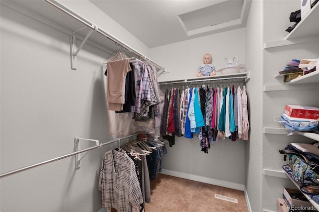 10643 Black Kettle Way, Colorado Springs, CO 80908 - walk in closet featuring attic access and carpet