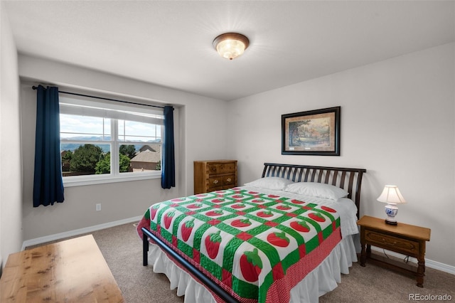 10643 Black Kettle Way, Colorado Springs, CO 80908 - carpeted bedroom featuring baseboards