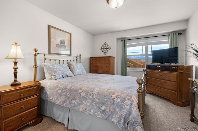 10643 Black Kettle Way, Colorado Springs, CO 80908 - bedroom featuring carpet floors