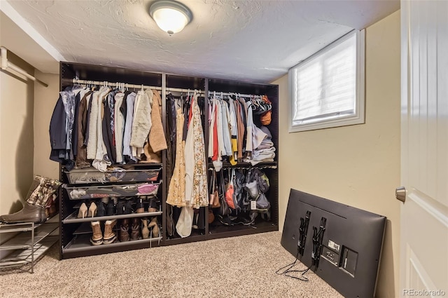 1697 W Powers Ave, Littleton, CO 80120 - spacious closet with carpet flooring