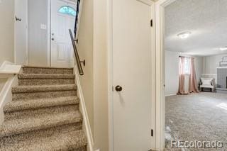 stairs with carpet flooring