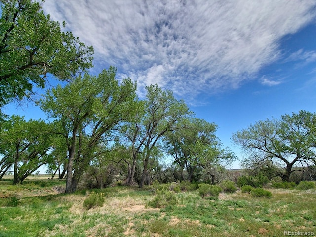 view of landscape