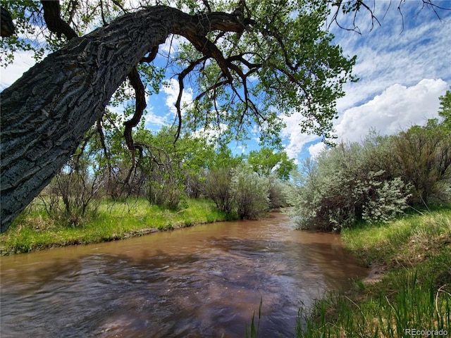 3701 County Road 230, Walsenburg, CO 81089 - photo 8