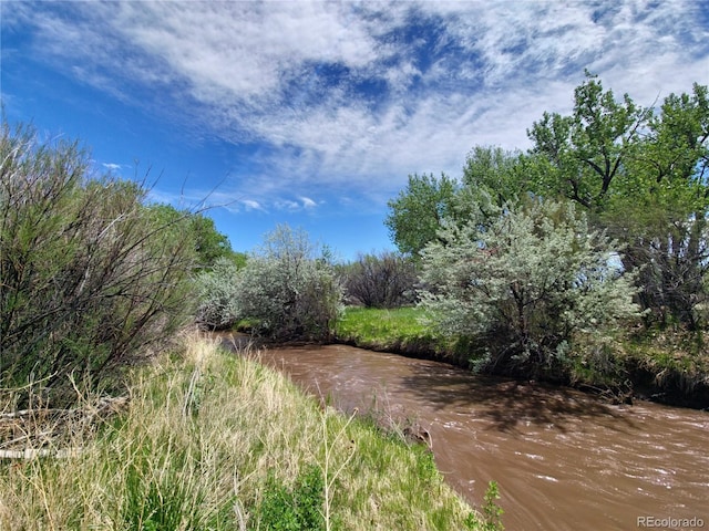 view of local wilderness