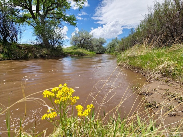 3701 County Road 230, Walsenburg, CO 81089 - photo 10