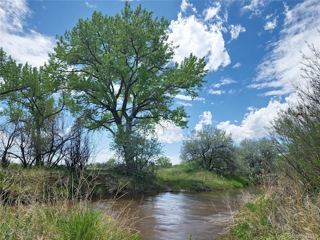 3701 County Road 230, Walsenburg, CO 81089 - photo 11