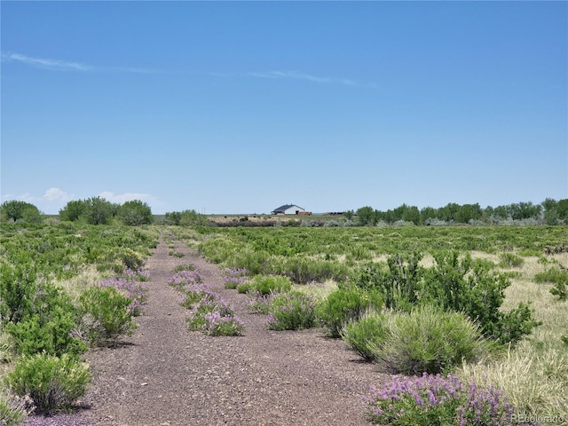 view of local wilderness featuring a rural view