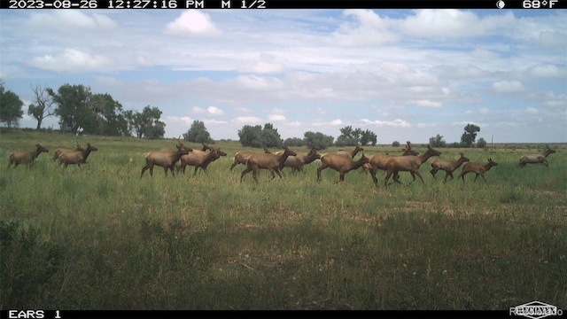 3701 County Road 230, Walsenburg, CO 81089 - photo 41