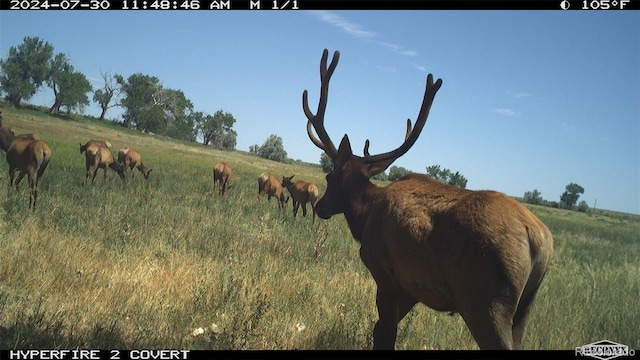 3701 County Road 230, Walsenburg, CO 81089 - photo 42