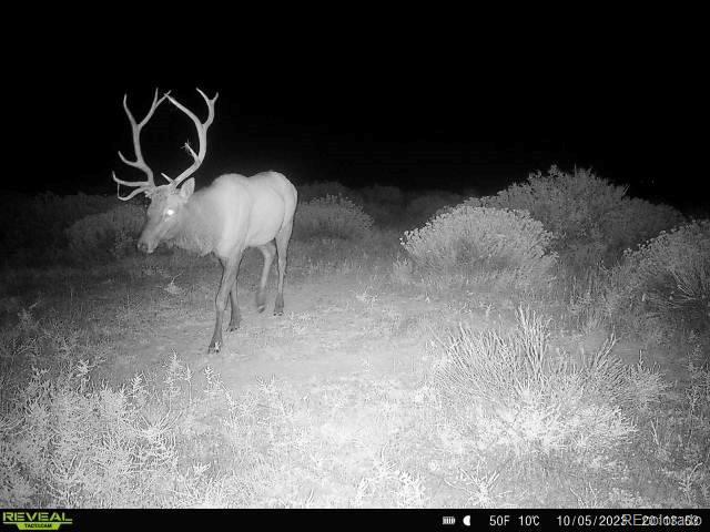 3701 County Road 230, Walsenburg, CO 81089 - photo 43