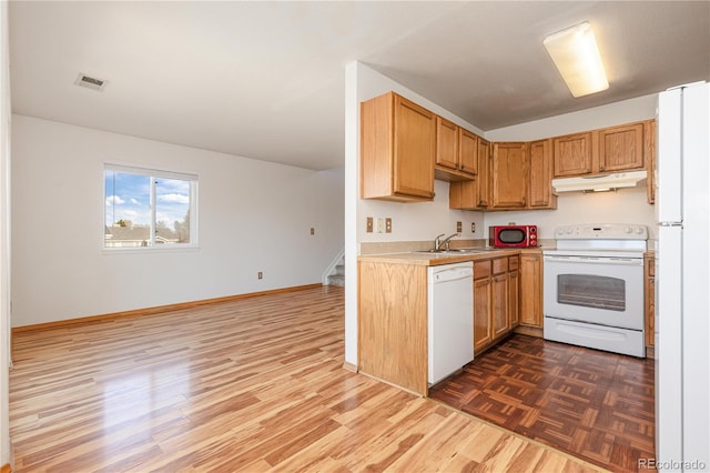 kitchen featuring dark hardwood / wood-style flooring, sink, and white appliances