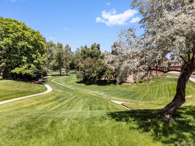 6449 S Jamaica Cir, Englewood, CO 80111 - view of property's community with a yard and view of scattered trees
