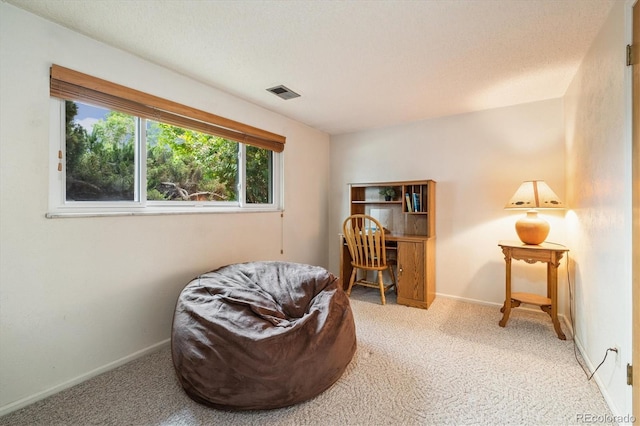 4469 S Field Ct, Littleton, CO 80123 - photo 25