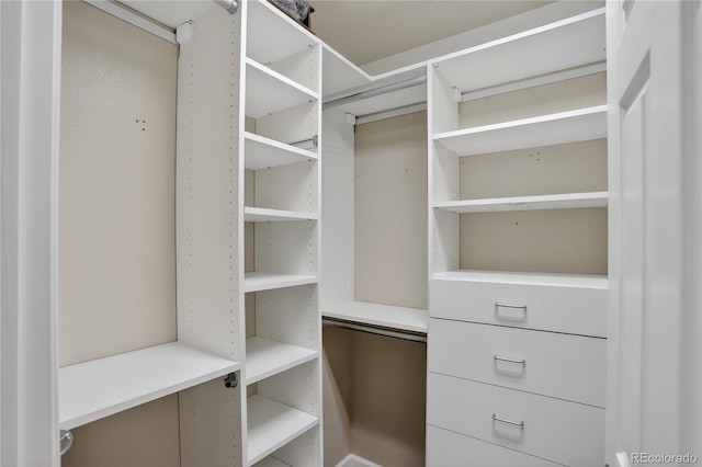 8378 Briar Trace Way, Castle Pines, CO 80108 - view of spacious closet