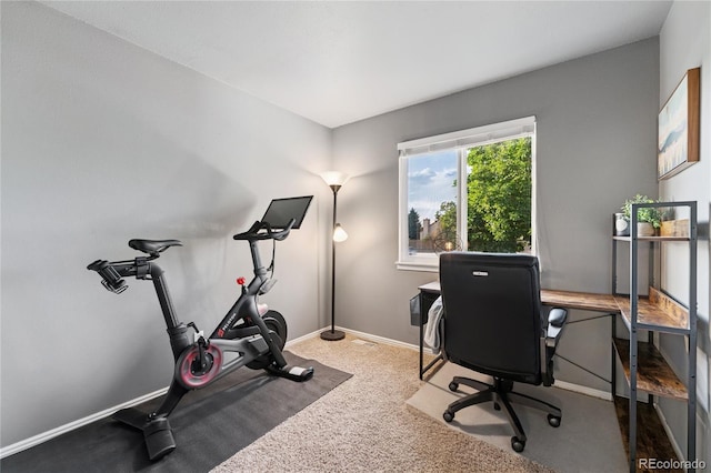 561 James St, Highlands Ranch, CO 80126 - office area featuring baseboards and carpet floors