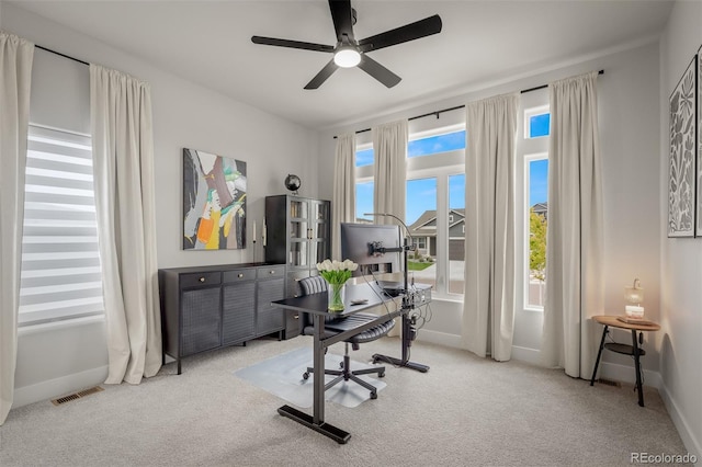 6347 Kinetic Ln, Colorado Springs, CO 80924 - photo 33