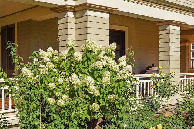 2006 N Cascade Ave, Colorado Springs, CO 80907 - view of doorway to property