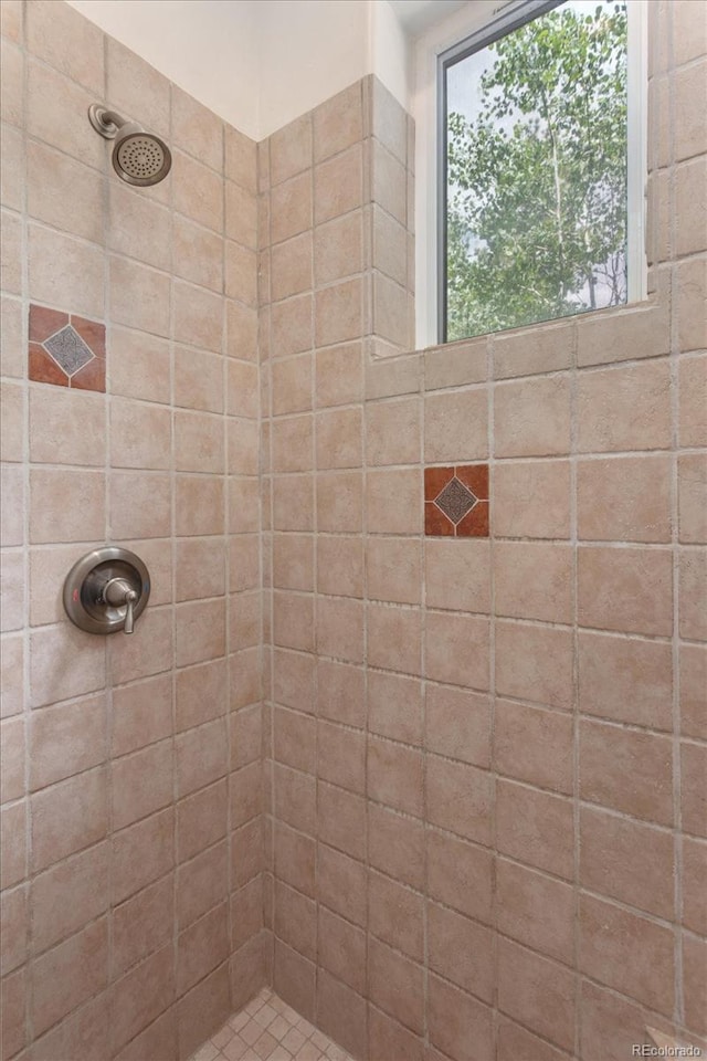 18680 Wapiti Cir, Buena Vista, CO 81211 - full bath with a tile shower