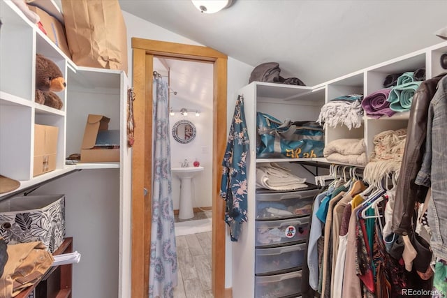 18680 Wapiti Cir, Buena Vista, CO 81211 - walk in closet with wood finished floors and lofted ceiling