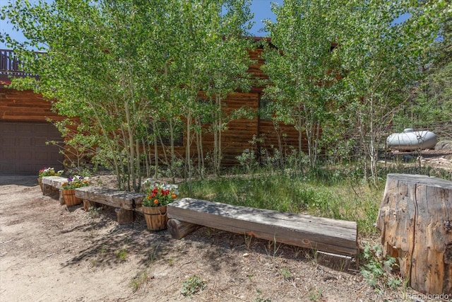 18680 Wapiti Cir, Buena Vista, CO 81211 - view of yard