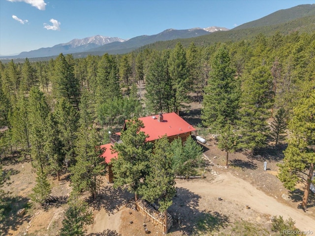 18680 Wapiti Cir, Buena Vista, CO 81211 - view of subject property with a forest and a mountain backdrop