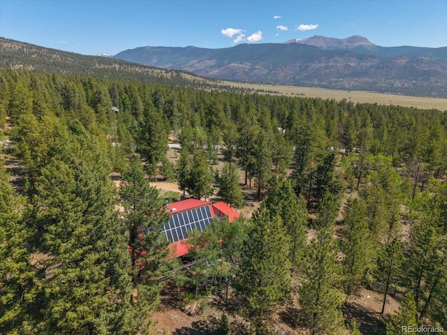 18680 Wapiti Cir, Buena Vista, CO 81211 - mountain view featuring a forest