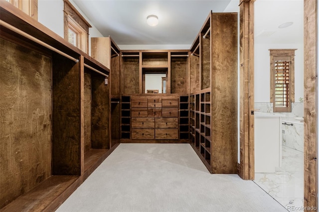 1332 S Lafayette St, Denver, CO 80210 - spacious closet featuring carpet floors