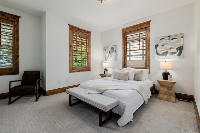 1332 S Lafayette St, Denver, CO 80210 - bedroom featuring light carpet and multiple windows