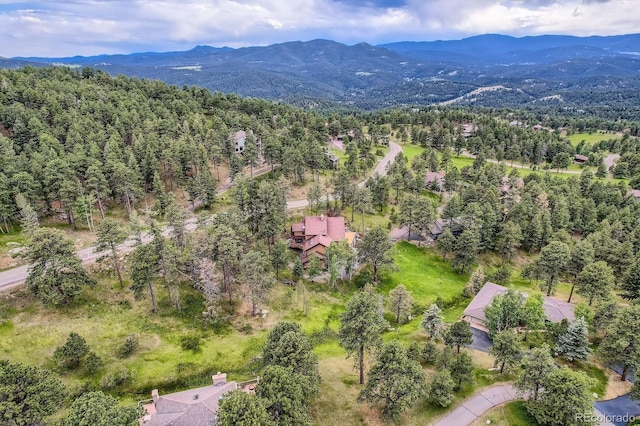 1605 Foothills Dr S, Golden, CO 80401 - photo 34