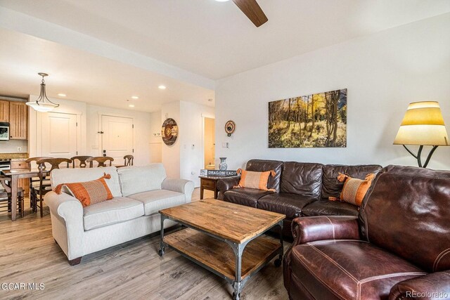 living room featuring hardwood / wood-style flooring