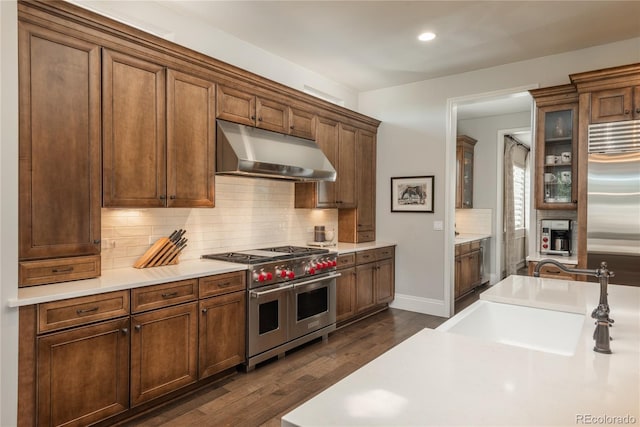 kitchen with tasteful backsplash, premium appliances, dark wood-type flooring, and sink