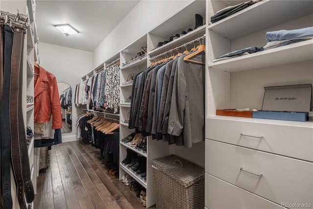 walk in closet featuring dark hardwood / wood-style flooring