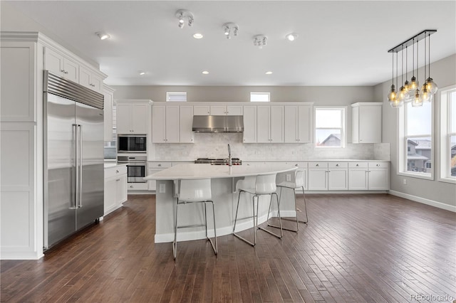 kitchen with light countertops, built in appliances, decorative backsplash, and under cabinet range hood