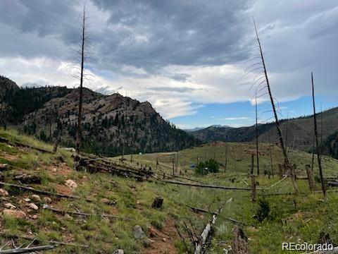 13841 S State Highway 67, Woodland Park CO, 80863 land for sale