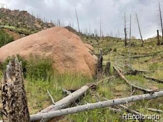 13841 S State Highway 67, Woodland Park, CO 80863