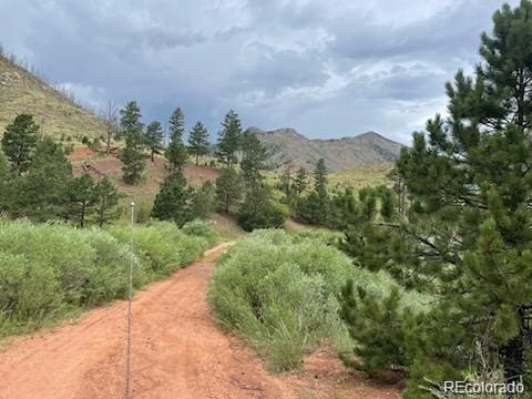 13841 S State Highway 67, Woodland Park, CO 80863