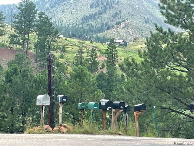 13841 S State Highway 67, Woodland Park, CO 80863