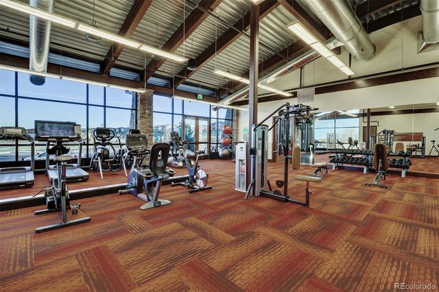 10723 N Montane Dr, Broomfield, CO 80021 - photo 29