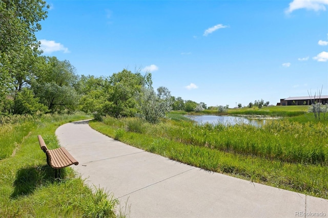 10723 N Montane Dr, Broomfield, CO 80021 - photo 28