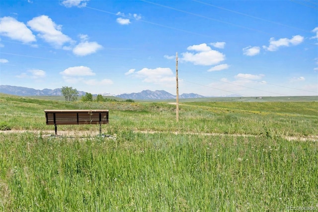 10723 N Montane Dr, Broomfield, CO 80021 - photo 3