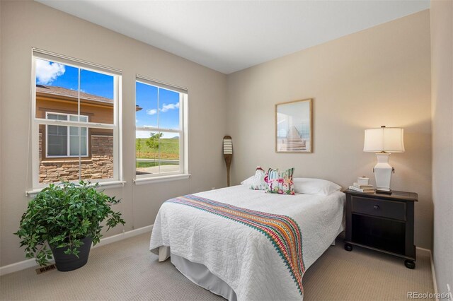 10723 N Montane Dr, Broomfield, CO 80021 - photo 13